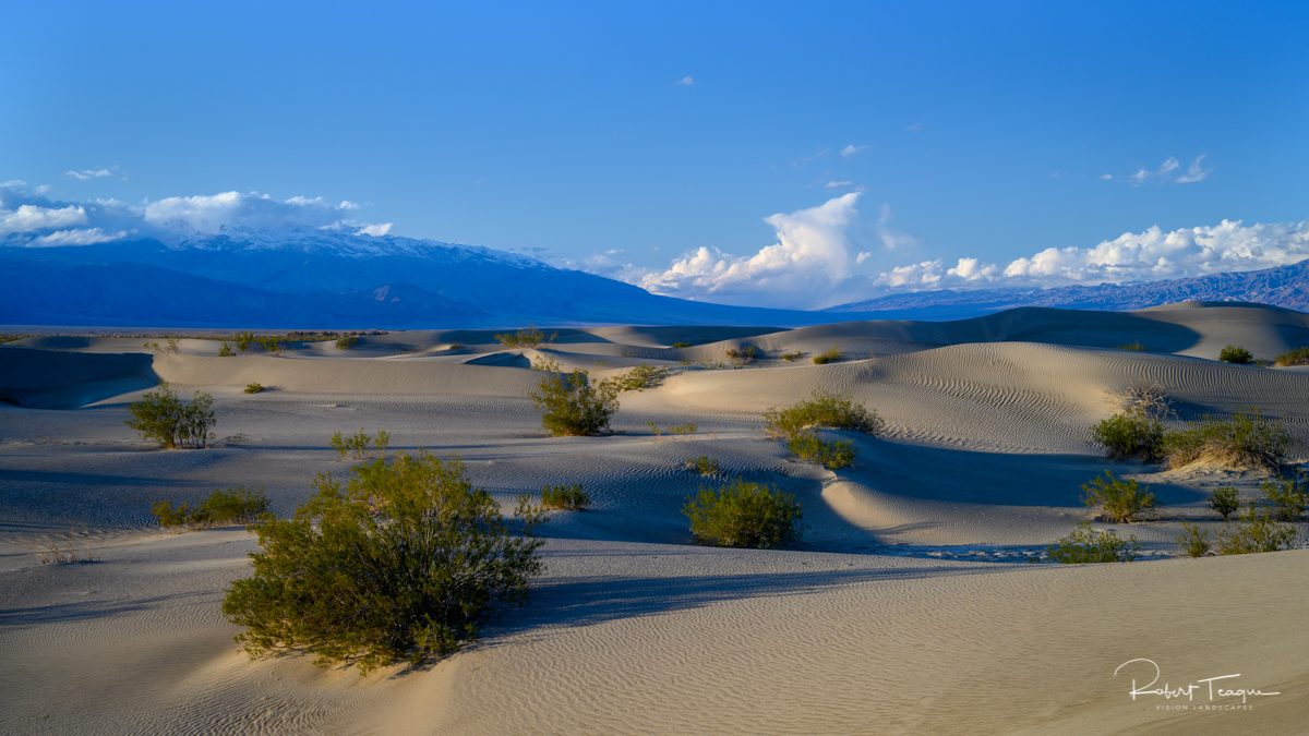 Late Afternoon, Mesquite Flat Sand Dunes, Death Valley National Park, California