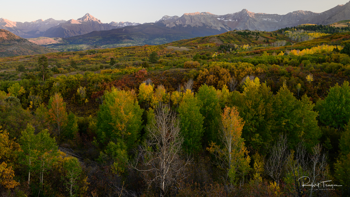 Fall Colors along CO 154, near Ridgeway, Colorado